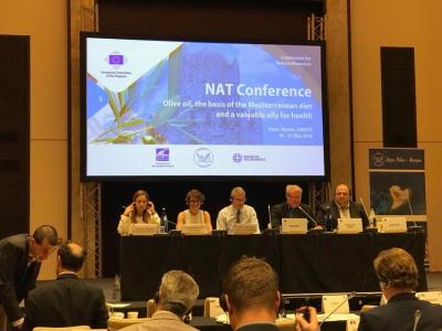 NECSTouR Presents the Needs and the Potential of European Regions in the Field of Coastal and Maritime Tourism at the NAT Commission Meeting
